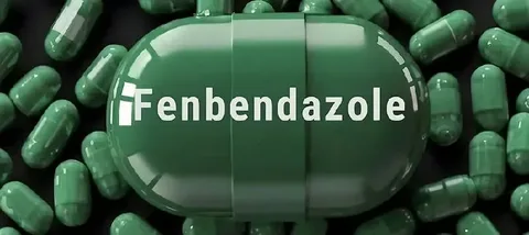 Fenbendazole for Cancer Treatment in Dogs